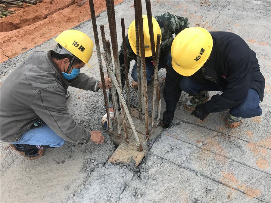 香港宝典全年资料大全