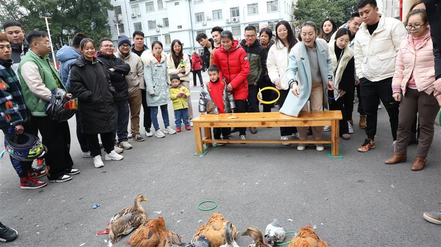 香港宝典全年资料大全