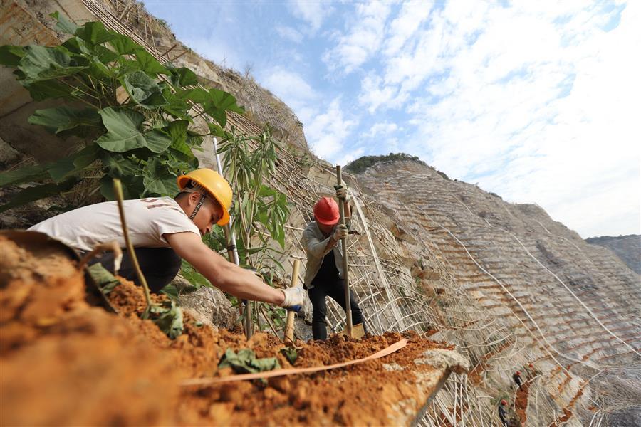 香港宝典全年资料大全