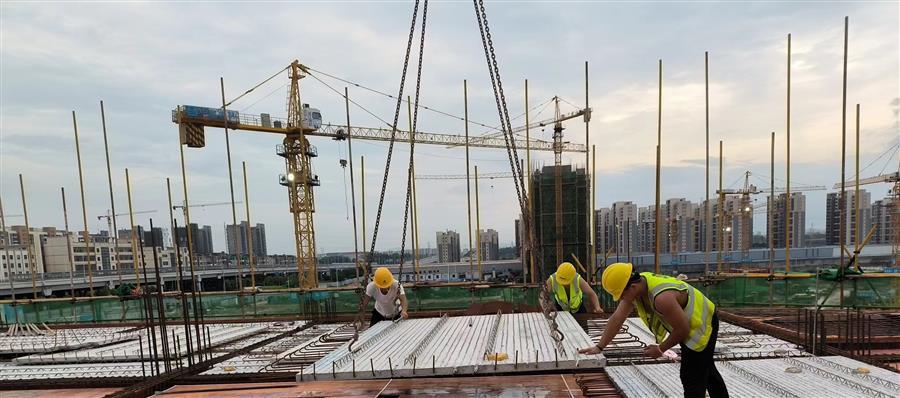 香港宝典全年资料大全