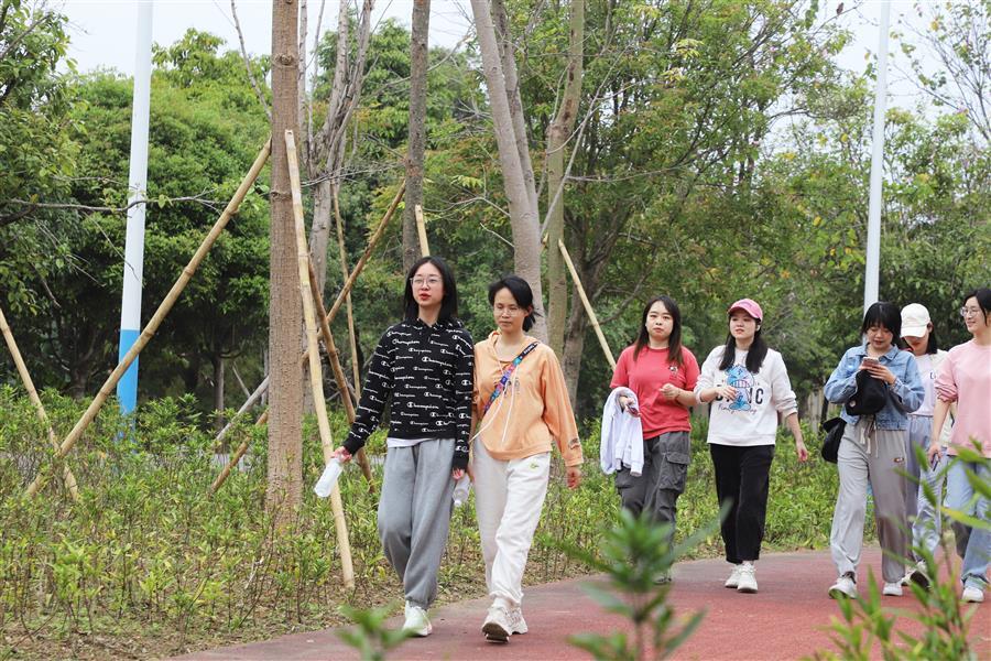 香港宝典全年资料大全