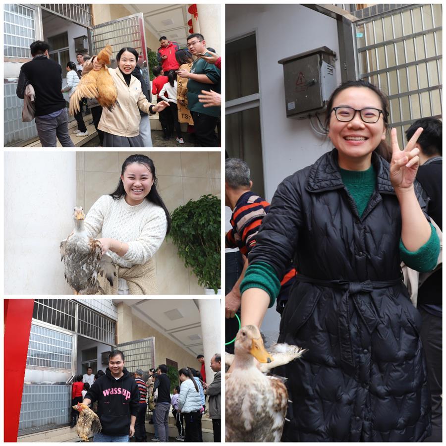 香港宝典全年资料大全