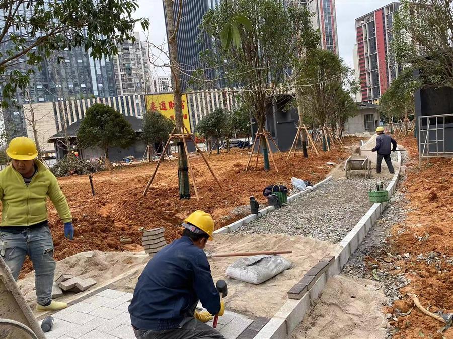 香港宝典全年资料大全