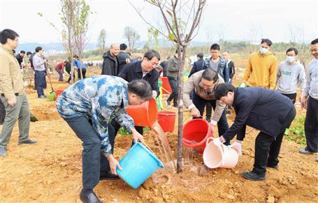 吴炜率队到公司承建的项目举行新春义务植树活动